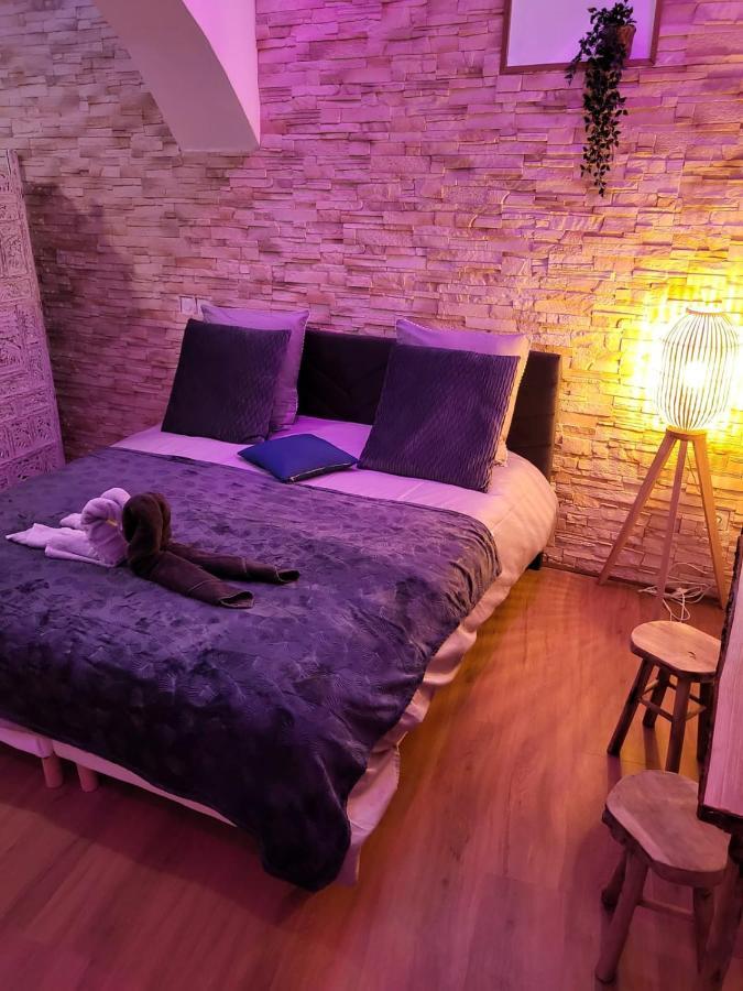 Le Spa De La Cathedrale - Jacuzzi - Sauna - Champagne - Netflix - Wifi Τρουά Εξωτερικό φωτογραφία