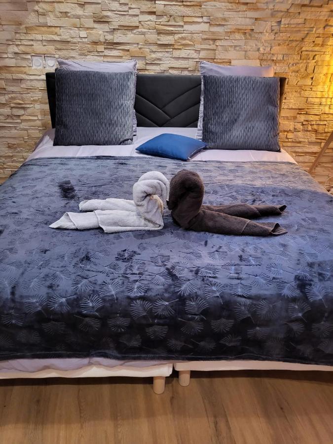 Le Spa De La Cathedrale - Jacuzzi - Sauna - Champagne - Netflix - Wifi Τρουά Εξωτερικό φωτογραφία