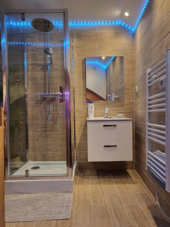 Le Spa De La Cathedrale - Jacuzzi - Sauna - Champagne - Netflix - Wifi Τρουά Εξωτερικό φωτογραφία